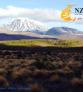 NZEGA Fotos Nova Zelandia