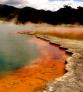 NZEGA Rotorua Viagem Nova Zelandia